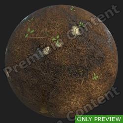 PBR Substance Material of Ground Forest Wet